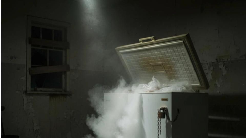 Woman held for Storing Daughter's Body in Freezer for 20 Years in Japan