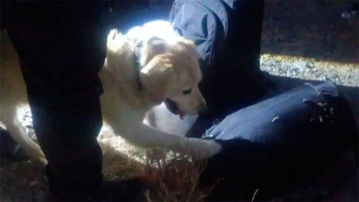 Llevaba 1 kilo de marihuana: un tucumano fue detenido por Gendarmería en Catamarca