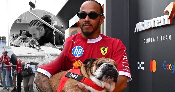 El conmovedor adiós de Lewis Hamilton a su perro Roscoe: "La decisión más difícil de mi vida"
