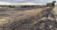 Spate of 'deliberate' fires at landfill site over four months sparks police appeal