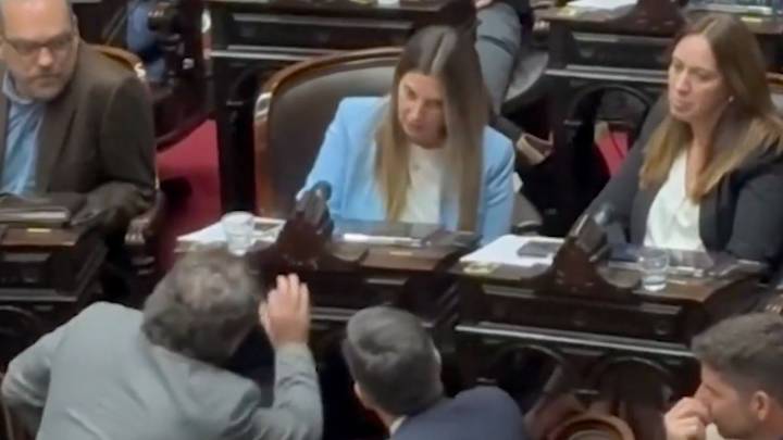 Así le gritaba Ritondo a Lospennato en plena sesión por votar contra el veto de Milei