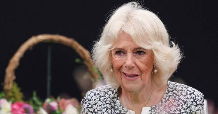 Queen Camilla 'Whacked' Sexual Assaulter on Train With Her Shoe, Bombshell Book Claims