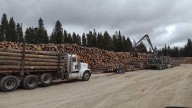 Wyoming Timber Cut While Fighting 100,000-Acre Elk Fire Won’t Go To Waste