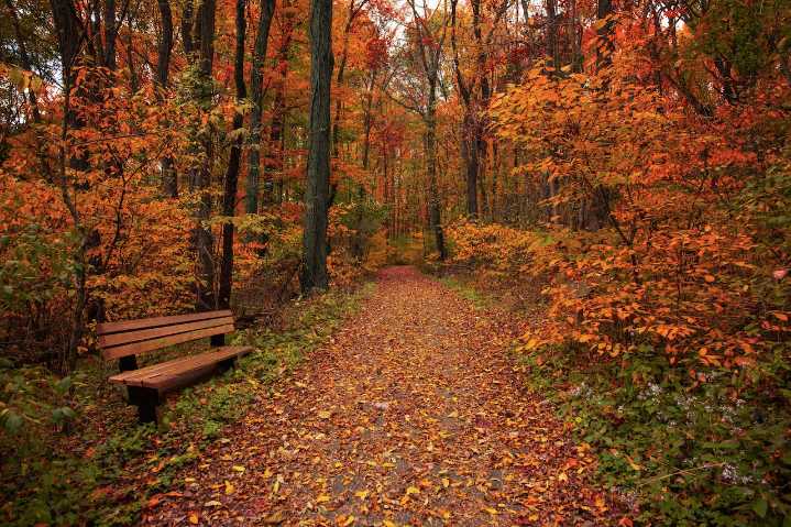 Here’s when tickets go on sale for Lorain County Metro Parks’ 50th anniversary Halloween Fair
