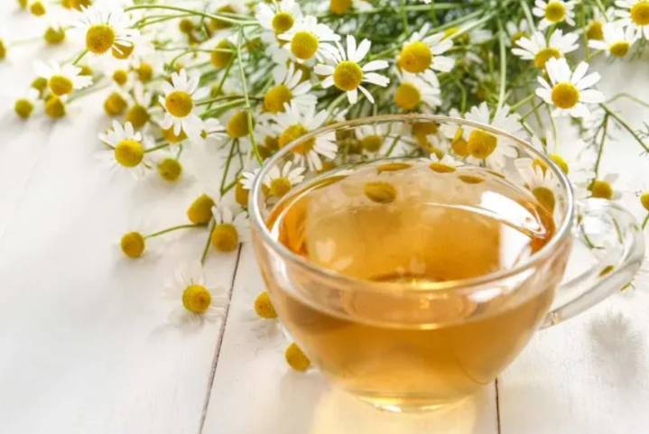 Té de manzanilla: beneficios, riesgos y cómo tomarlo para tu salud
