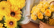 ¿Por qué se regalan flores amarillas el 21 de septiembre? Este es el verdadero significado