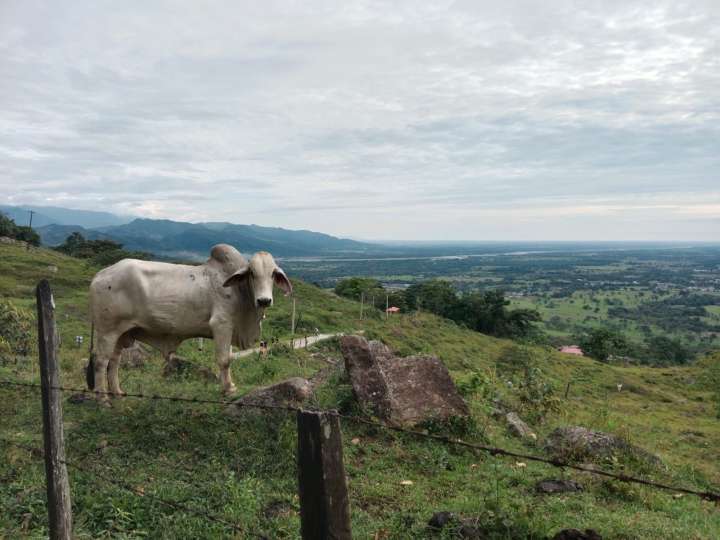 Familia rural de Medina (Cundinamarca) recibirá compensación por el abandono forzado de sus predios