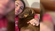 Georgia Stray Dog’s Wish For A Loving Home Comes True In The Most Beautiful Way