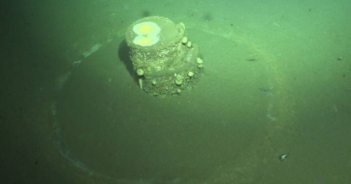 Toxic Barrels Off L.A.’s Coast Found With Bizarre ‘Halos’
