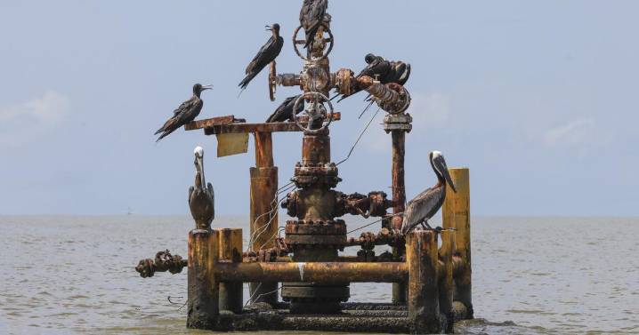 Louisiana drilled more coastal oil wells than any other state. Thousands have sunk in the Gulf.