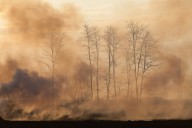 Los incendios forestales en Canadá se relacionan con más de 70 000 muertes prematuras en todo el mundo