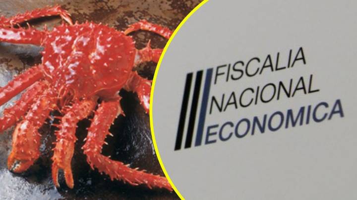 Fiscalía Nacional Económica denuncia a siete empresas por colusión en el mercado de la centolla