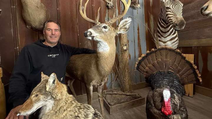 Taxidermist’s Robot Decoys Are So Life-Like They Turn, Twitch And Even Poop