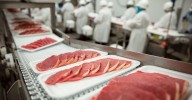 La proteína de la carne de cerdo magra favorece el desarrollo muscular tras el ejercicio, según un estudio