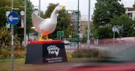 Goosey arrives early as Nottingham Goose Fair 2025 countdown begins