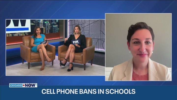 Schools nationwide considering cellphone bans -