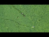 See how drone is used to find missing local woman