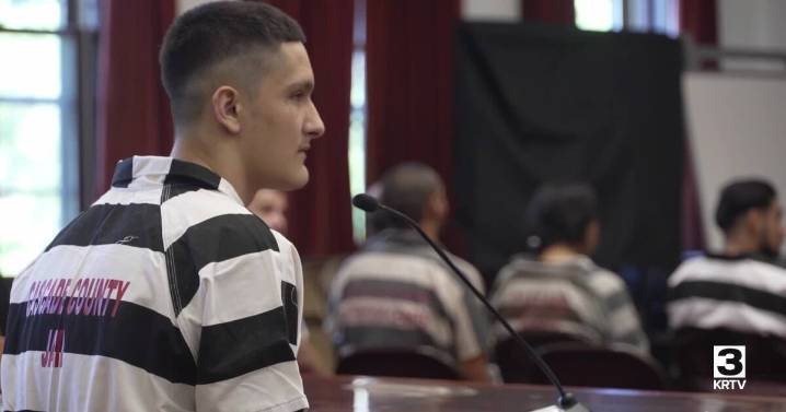 Assault suspect pleads guilty in Great Falls