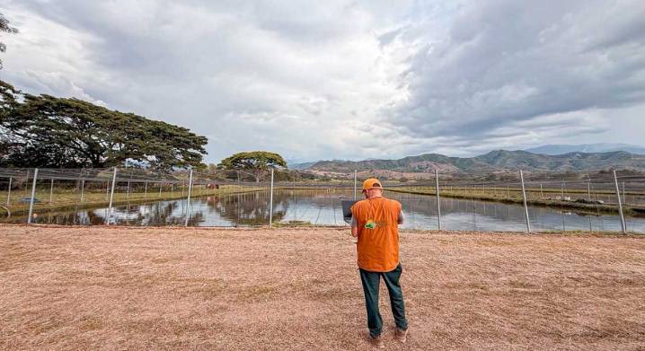 En Colombia entregan tierras que pertenecieron a narcotraficante a familias víctimas de Tuluá, para producción agrícola