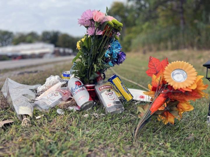 Driver, pedestrian ID’d in fatal Walpole Island crash