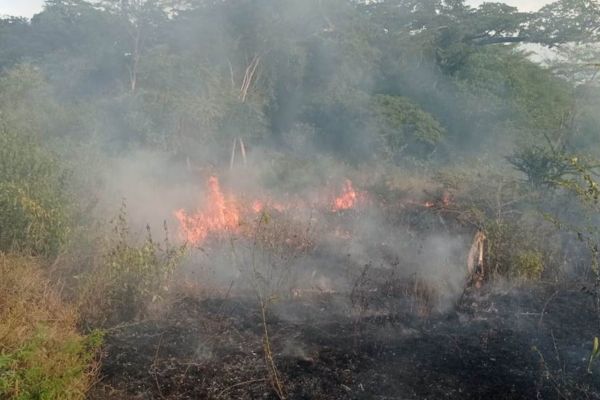 Incendio forestal arrasa 15 hectáreas de vegetación seca en zona rural de Fonseca