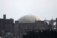 Privatización. Qué es la Nucleoeléctrica Argentina