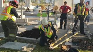 ¡Impactante! Mujer cae en tumba de su nieto en Panteón Jardines de Santo Cristo