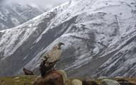 Snowfall Likely In Higher Reaches On Oct 5, 6: MeT