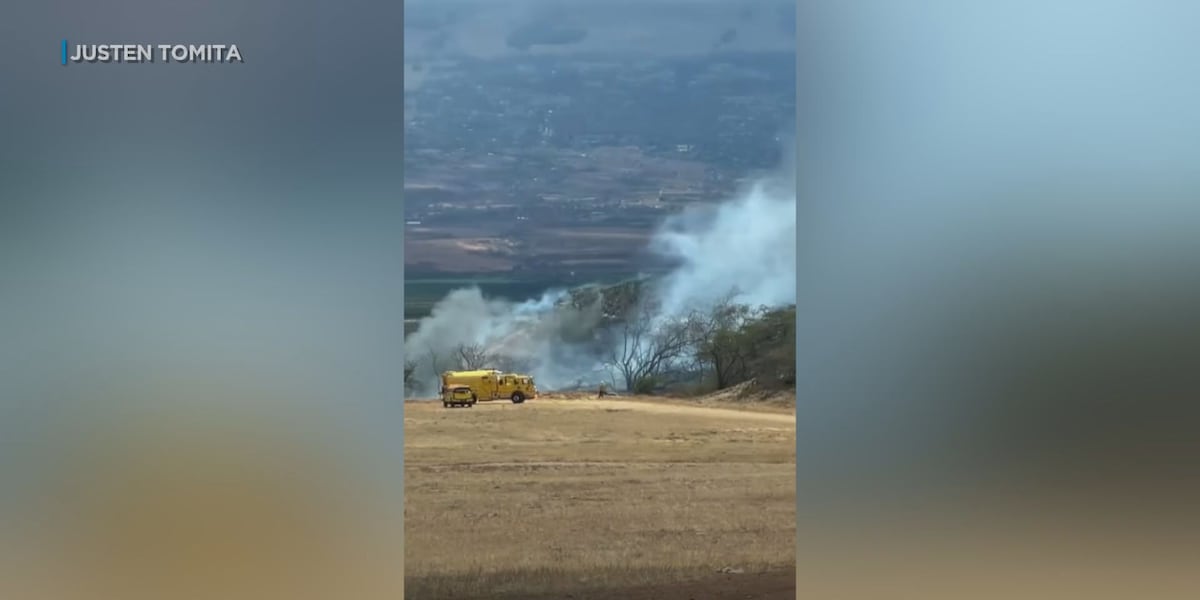 Crews extinguish brush fire in Kahului