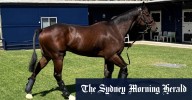 The Everest 2025: Trainer David Hayes confident star Ka Ying Rising will handle journey as Everest favourite arrives in Sydney
