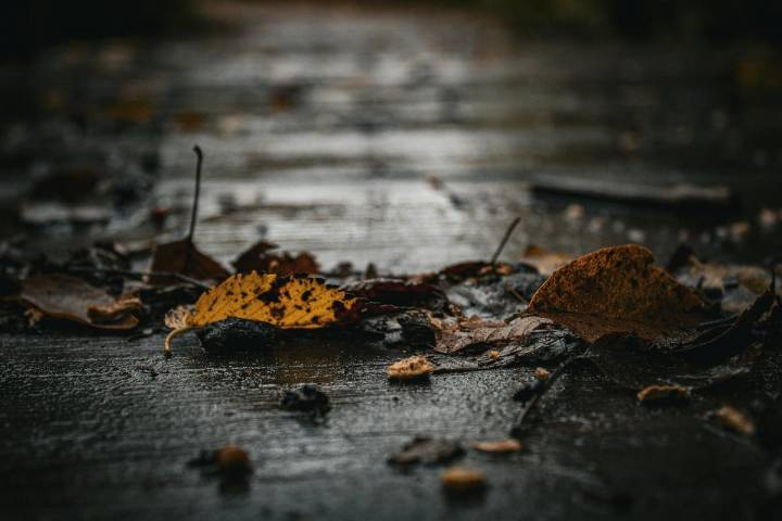 Wyoming Welcomes Rainy Days for the Rest of the Week