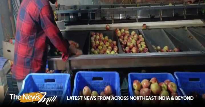 “Production costs rising but returns falling”: Himachal apple growers hit hard by rains, diseases and poor market prices
