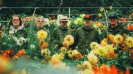 Super Furry Animals Reunite for First Tour in a Decade