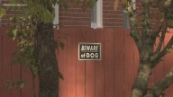 Dog attack in Newport News injures 4, residents in shock