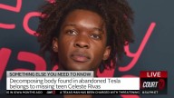 Missing 15-Year-Old Girl’s Decomposing Body Found in D4vd’s Tesla