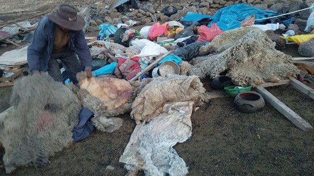 Pobladores de Pusa Pusa exigen devolución de tierras tras desalojo en Caylloma