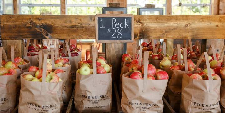 70 Apple Picking Captions for Your Fall 2025 Instagram Posts