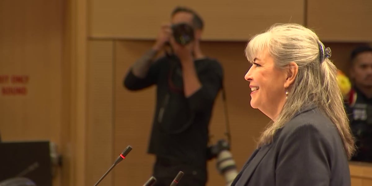 Interim Las Vegas city council member chosen to fill Seaman’s seat