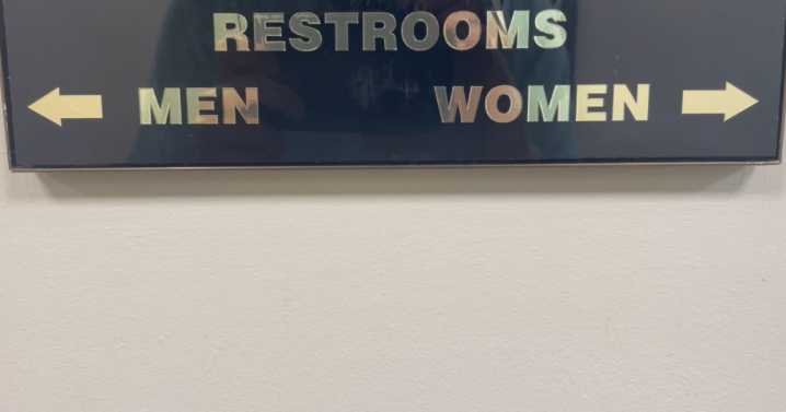Texas Senate meets to discuss 'bathroom bill'