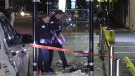 Chicago police investigating beating death of man, 70, and carjacking crime on Halsted Street on South Side