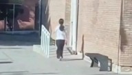 Mendoza: una adolescente se atrincheró en la escuela y disparó al aire