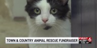 Papillion animal rescue raising funds to support major upgrades to facility