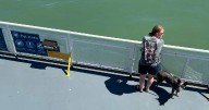 Could passenger-only vessels be part of BC Ferries’ future?