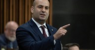 Conservatives push for a 'three-strikes' law, tougher sanctions for domestic violence