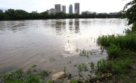 Winnipeg urged to boost transparency, equity in climate action, report says