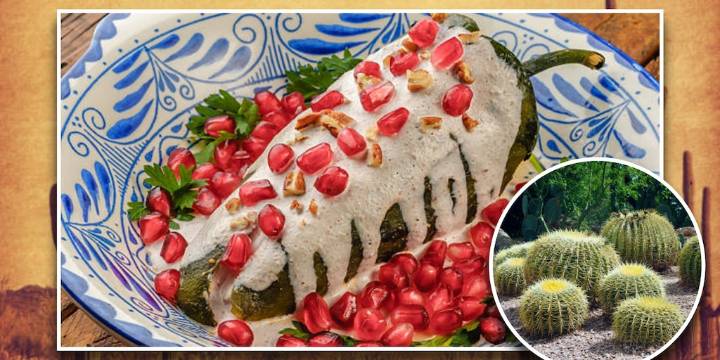 Cómo puedes sustituir el acitrón en tu receta de chiles en nogada para ayudar al medio ambiente
