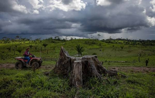 Un nuevo estudio identifica el origen de la sequía en la Amazonía