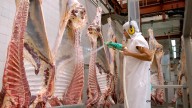 El Gobierno ratificó que el esquema de retenciones cero para la carne avícola y bovina sigue hasta el 31 de octubre