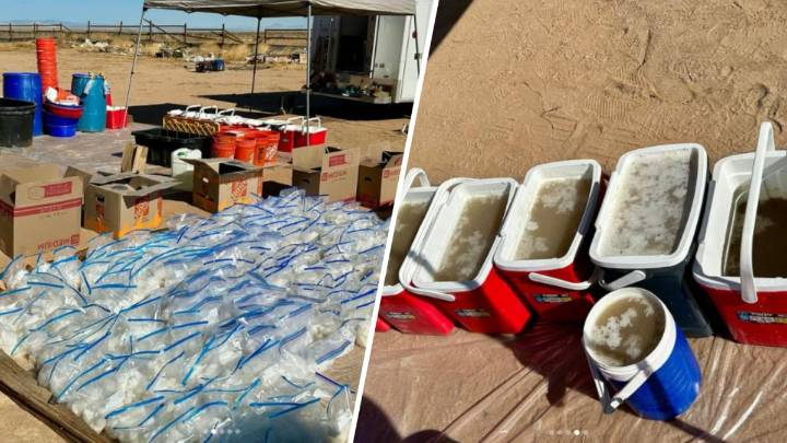 Nearly 800 pounds of methamphetamine seized in Kern County drug bust