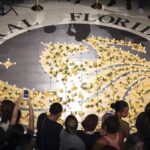 Students without legal status are dropping out or delaying college as states revoke tuition breaks